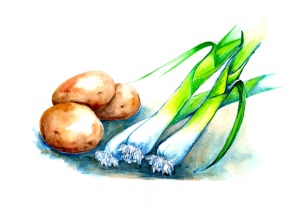 three leeks, three potatoes - a water color illustration