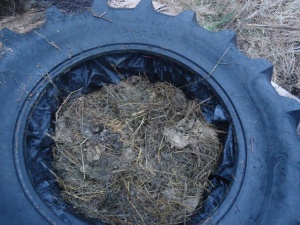Tire with some manure